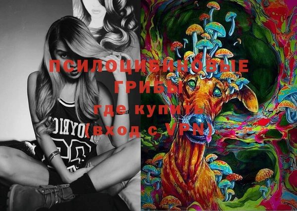 винт Алексеевка