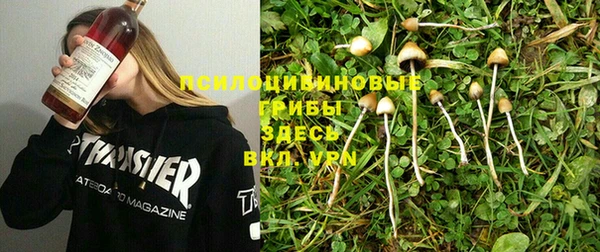винт Алексеевка