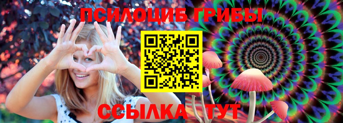 Михайловск  Галлюциногенные грибы MAGIC MUSHROOMS  Вход с VPN 
